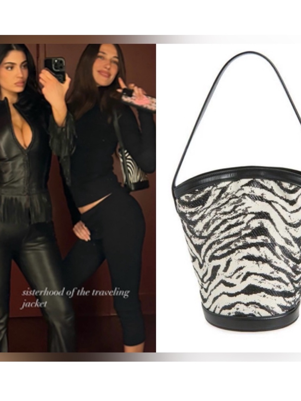 RARE! NWT REFORMATION ZEBRA PRINT BUCKET BAG